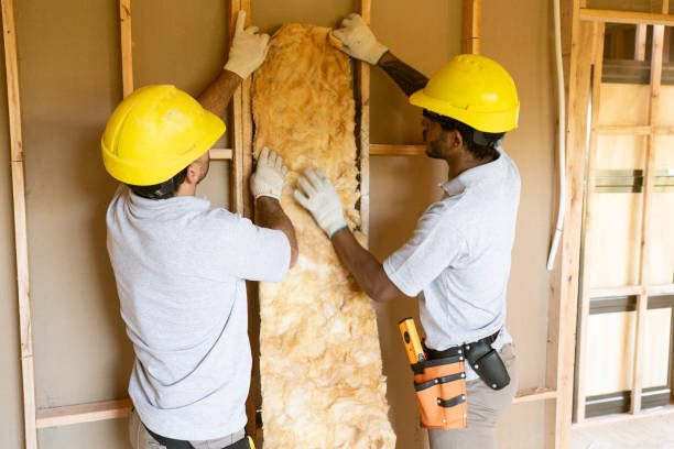 Best Energy-efficient Insulation  in Grantley, PA
